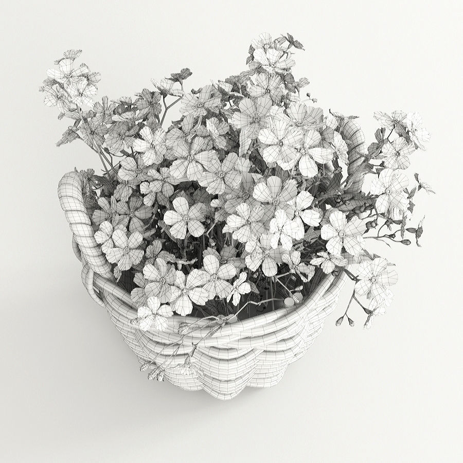 Flowers in a basket 3D model_7