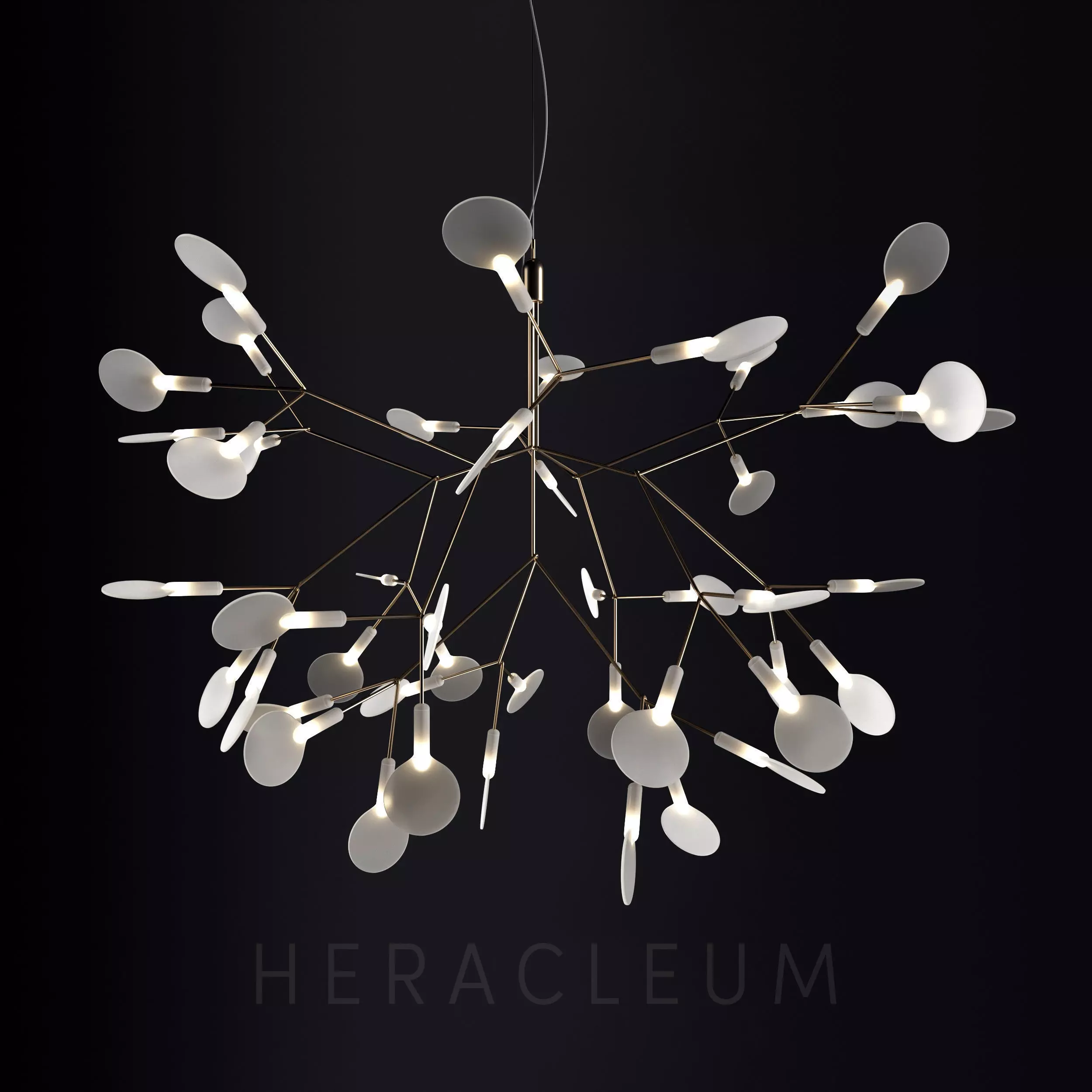 Chandelier Moooi Heracleum II Small 3D model