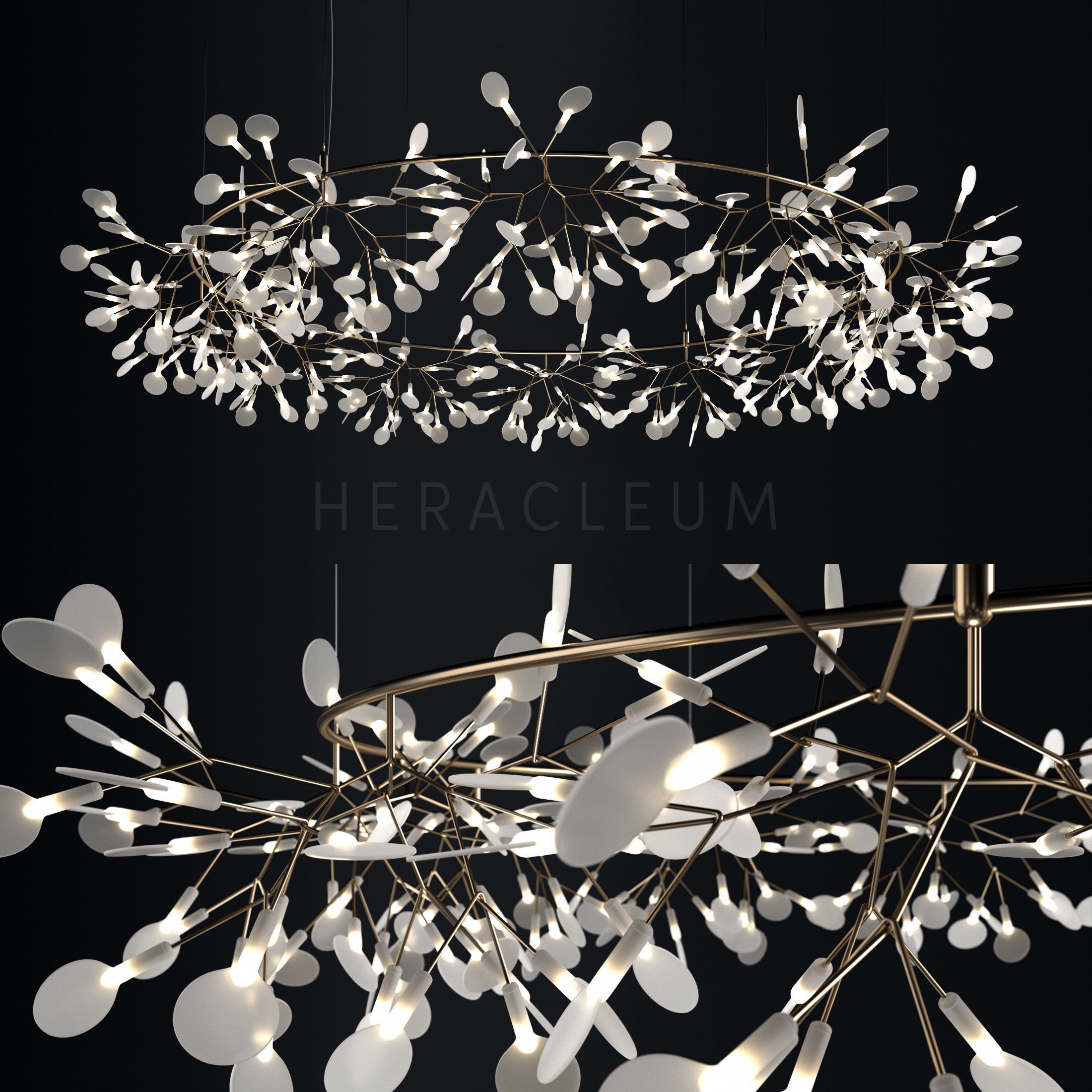 Chandelier Moooi Heracleum the Big O 3D model_6