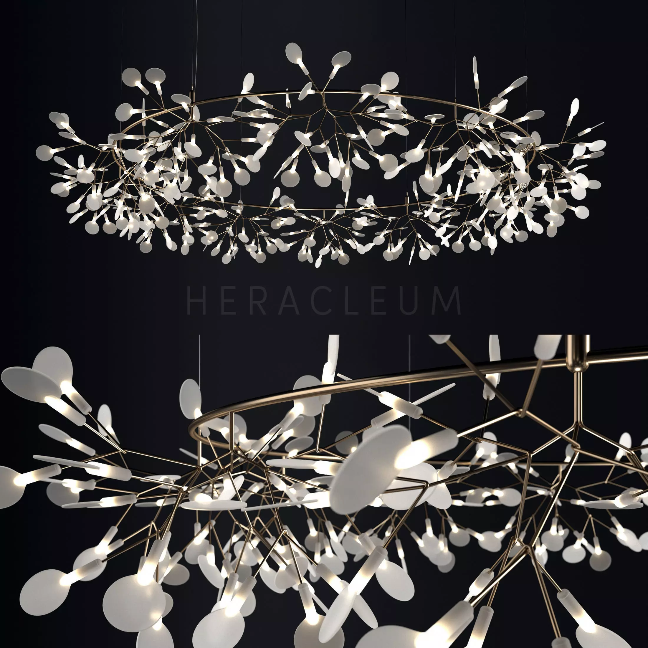 Chandelier Moooi Heracleum the Big O 3D model_0