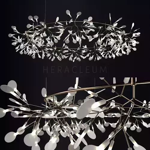 Chandelier Moooi Heracleum the Big O
