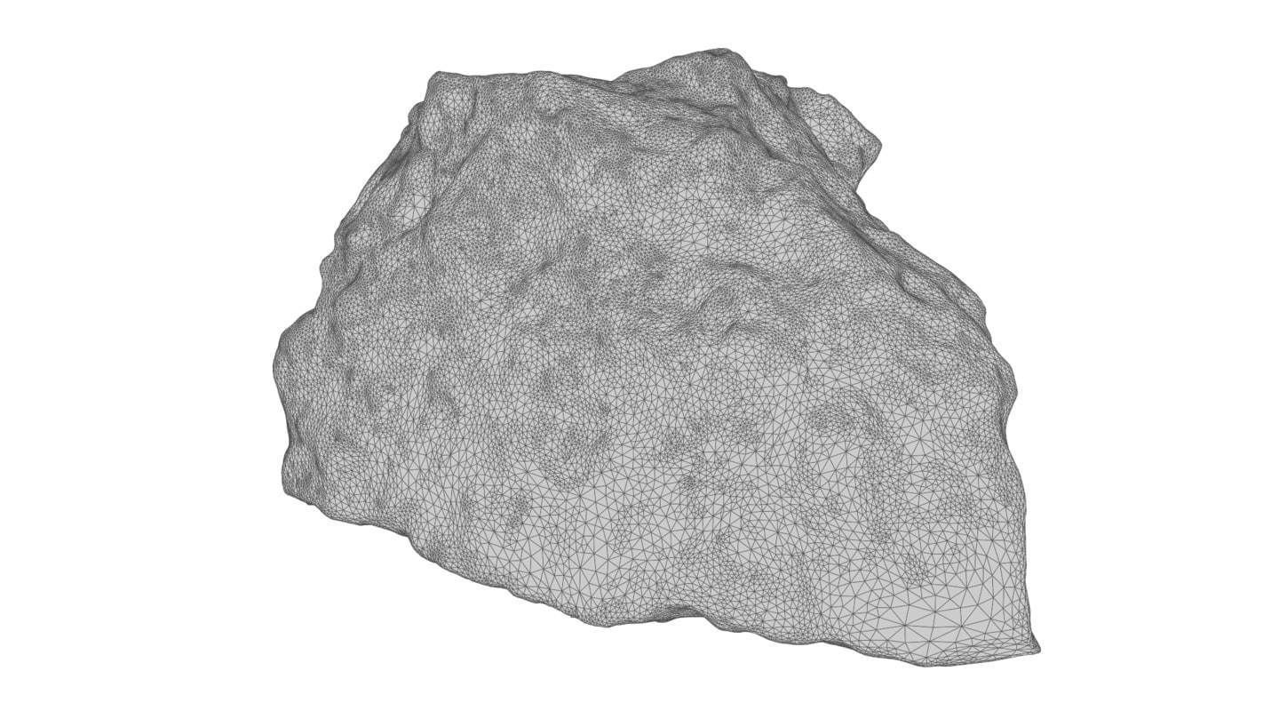 Fossil rock 3D model_4
