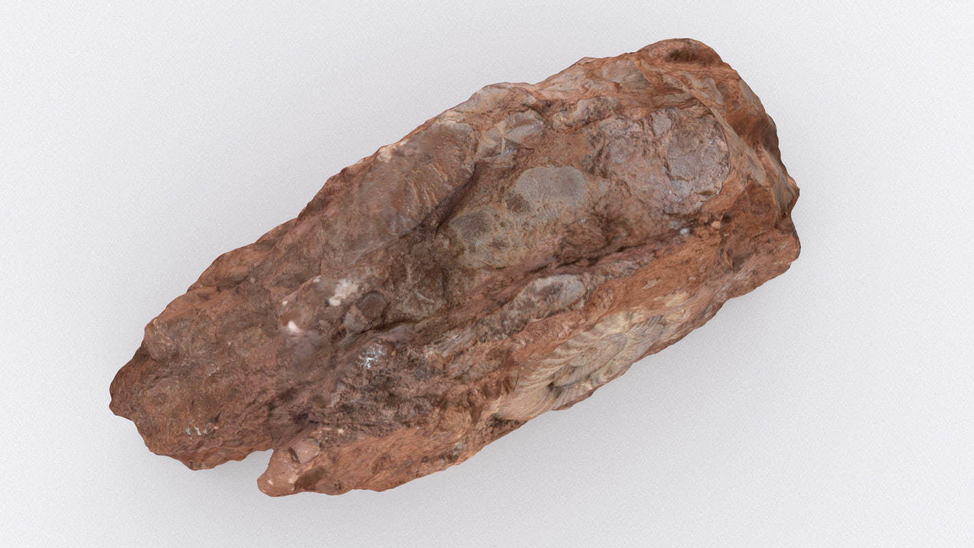Fossil rock 3D model_7