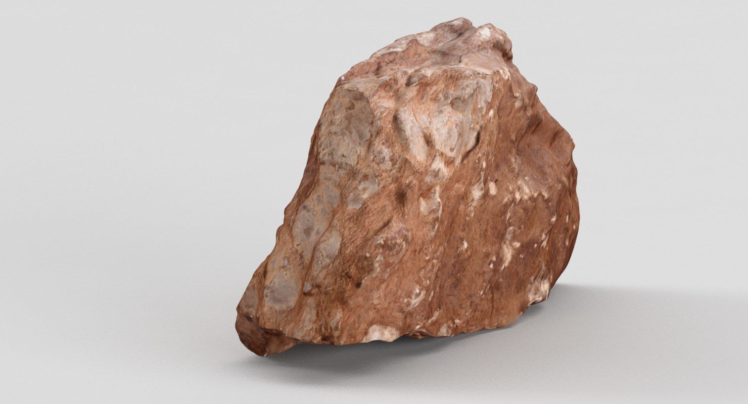 Fossil rock 3D model_3