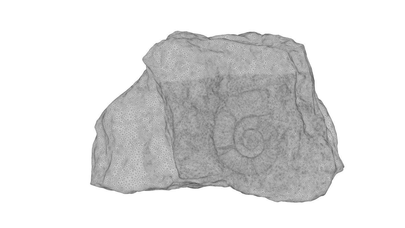 Fossil rock 3D model_6