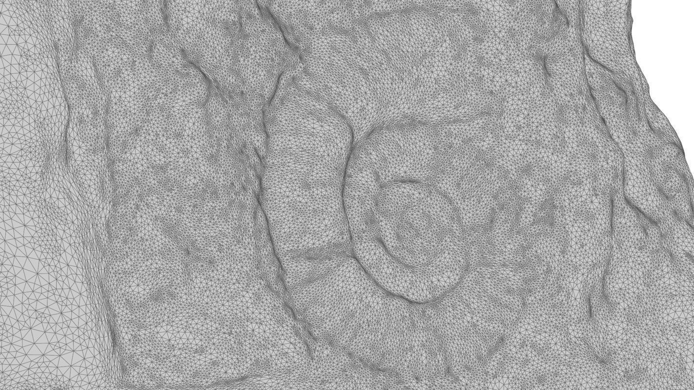 Fossil rock 3D model_5