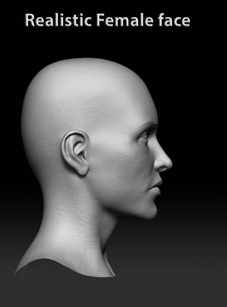 Female realistic face 3D model_5