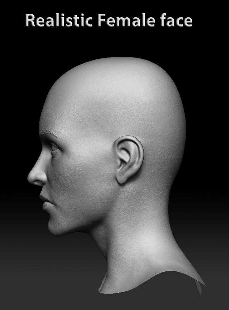 Female realistic face 3D model_2