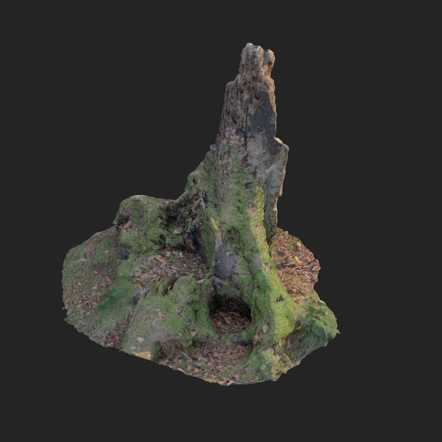 Nature stump 10 3D model_9