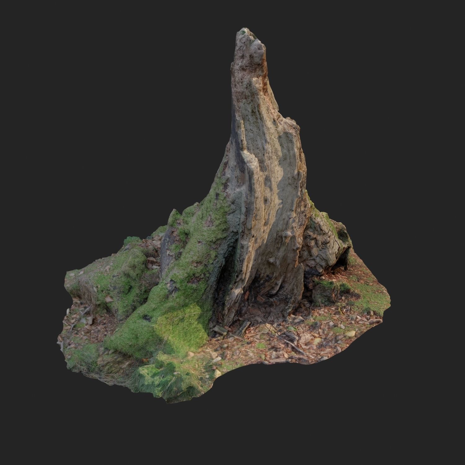 Nature stump 10 3D model_8