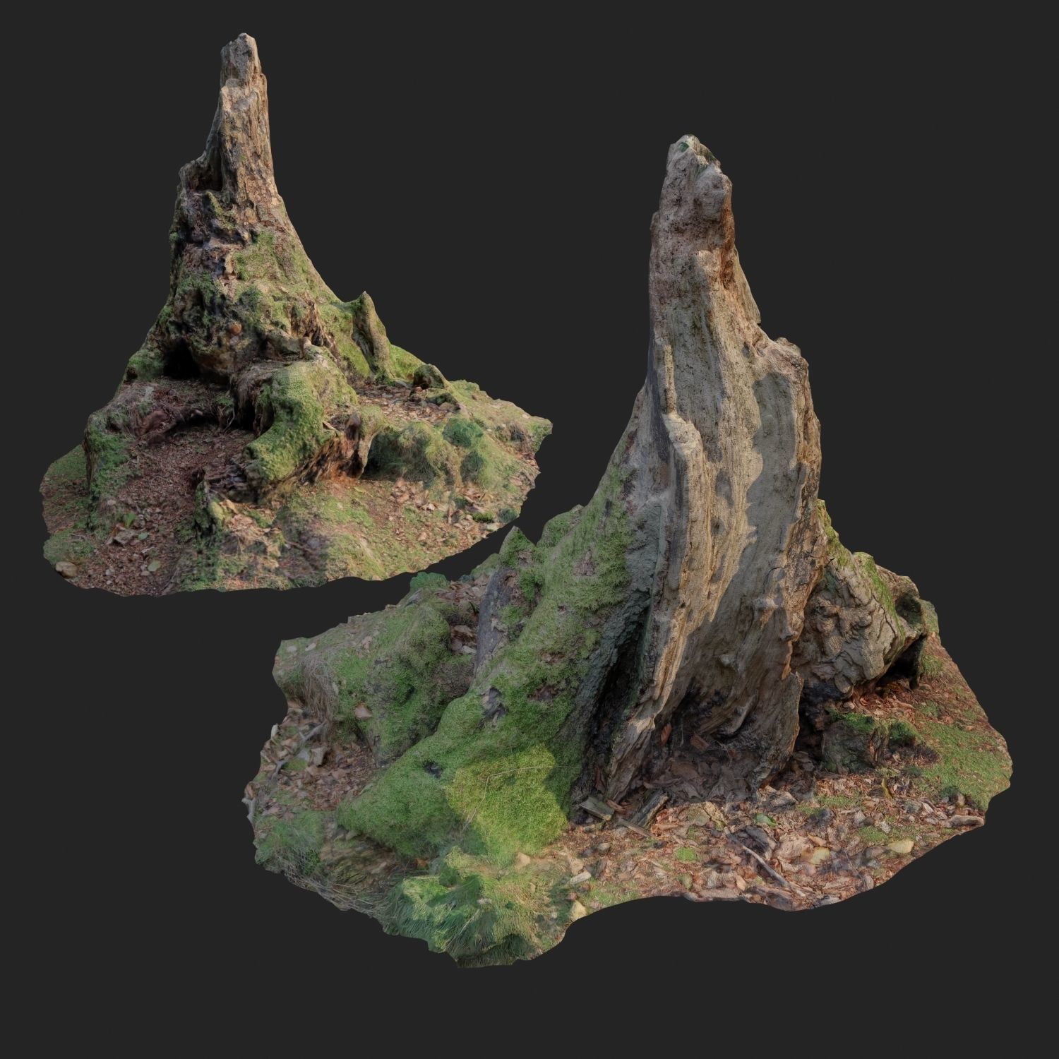 Nature stump 10 3D model_6