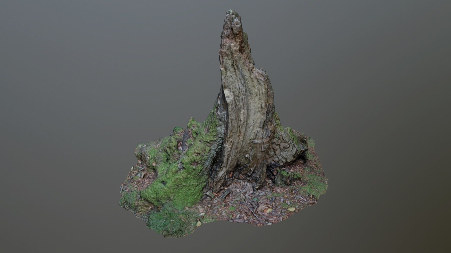 Nature stump 10 3D model_1