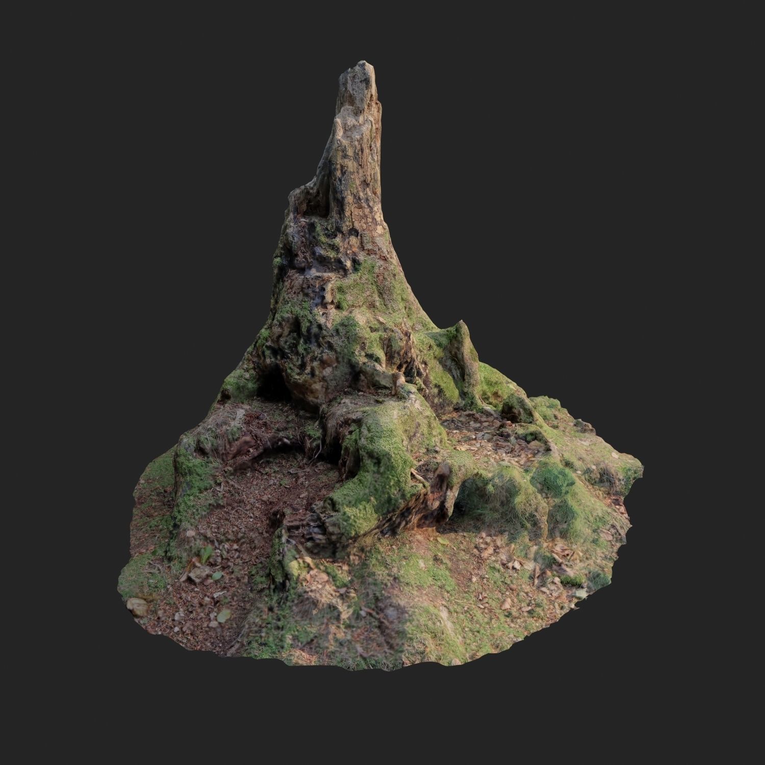 Nature stump 10 3D model_7