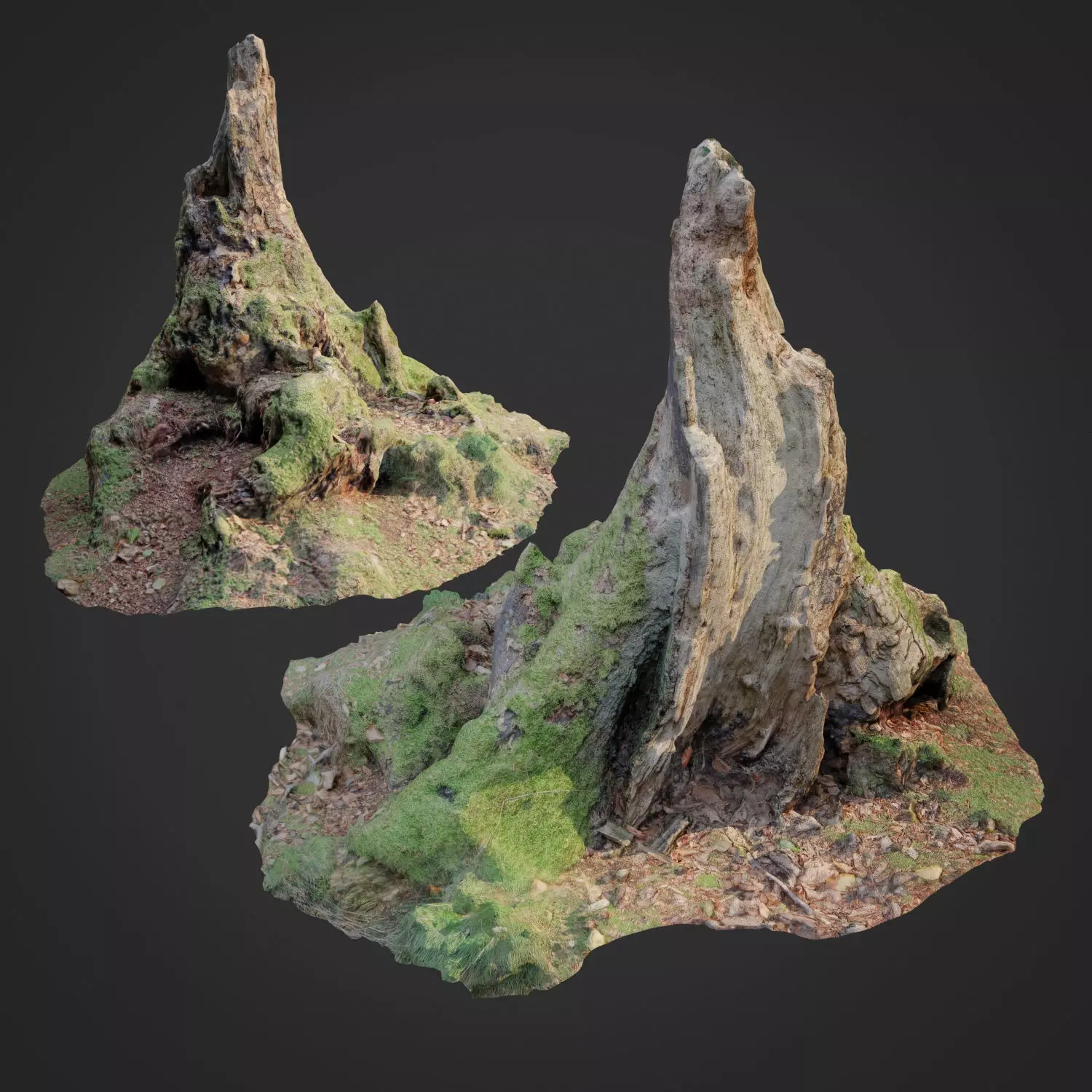 Nature stump 10 3D model_0