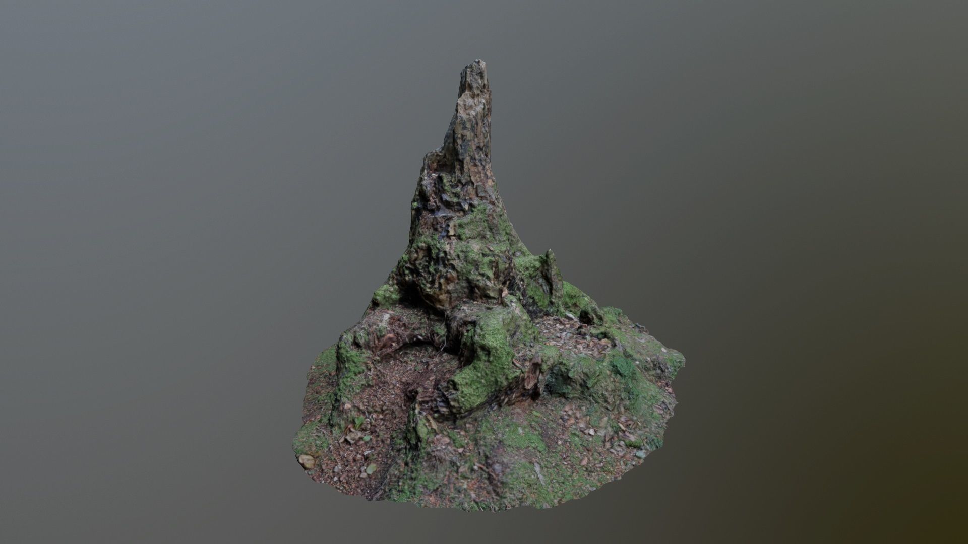 Nature stump 10 3D model_3