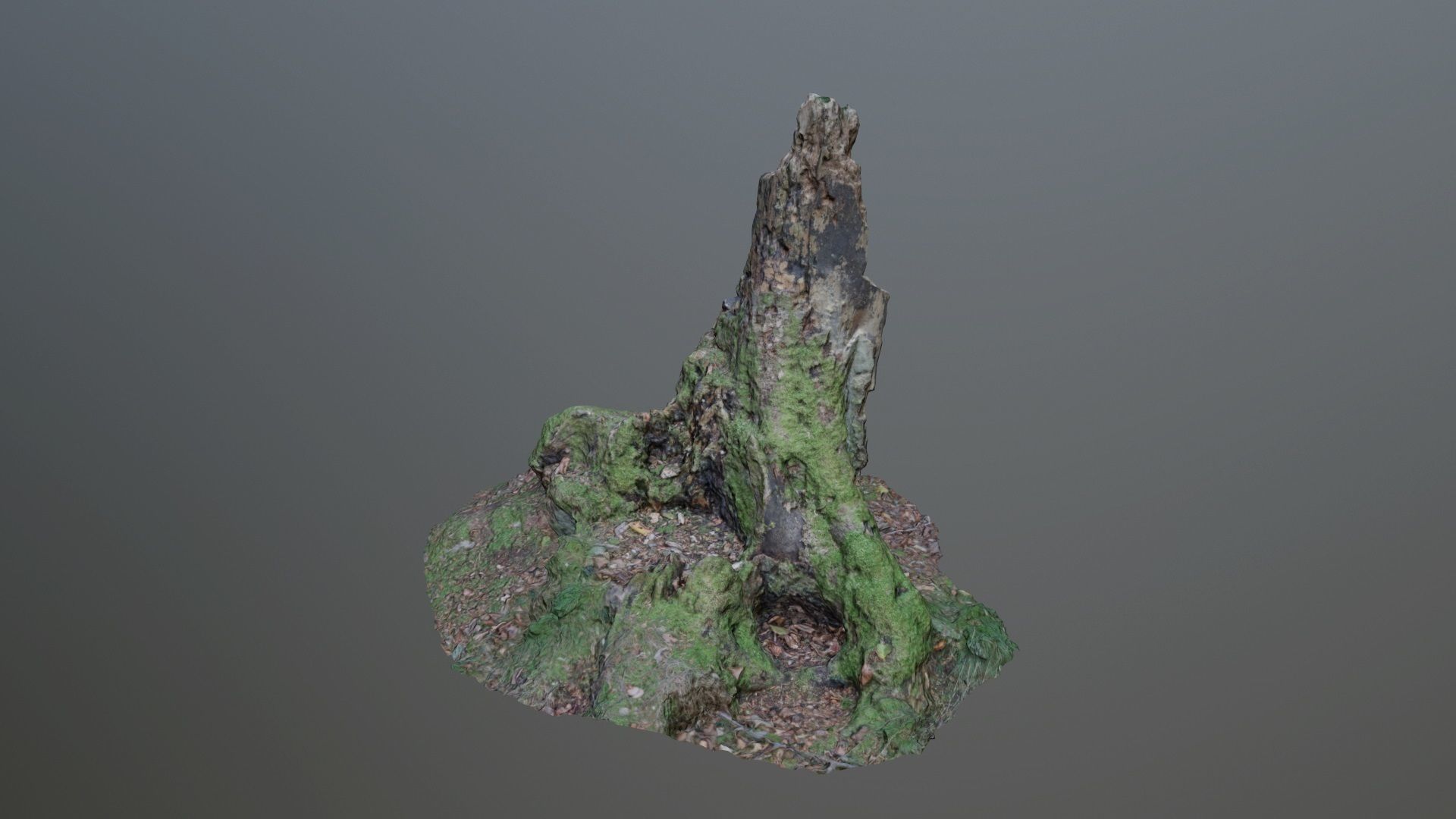 Nature stump 10 3D model_5