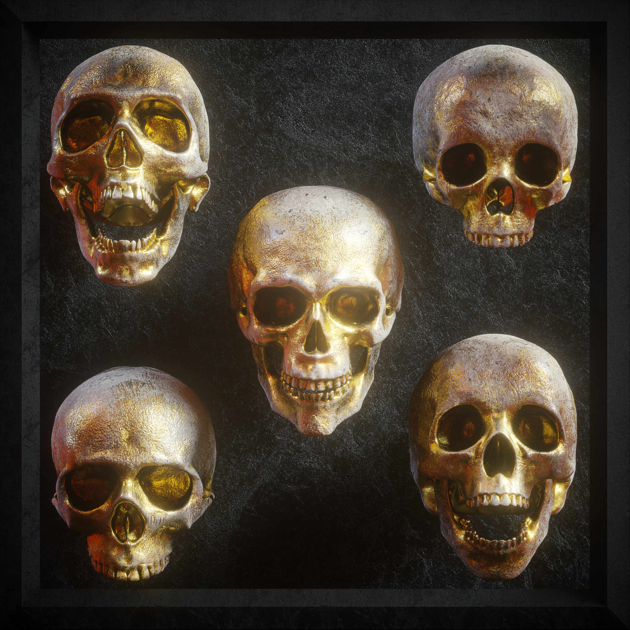 Skull Model Pack 3D model_4
