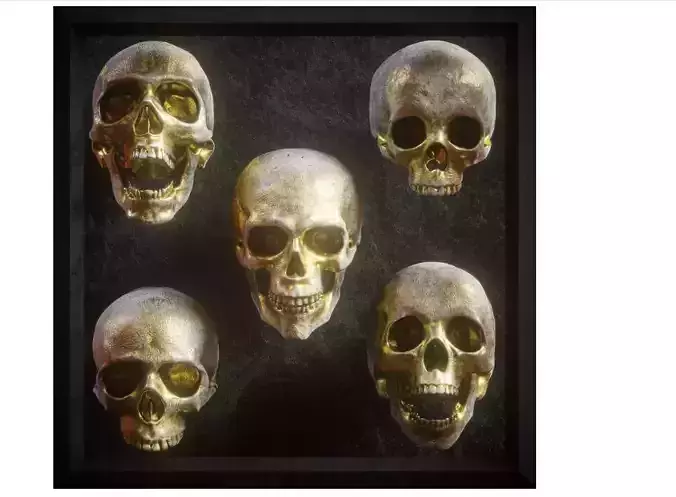 Skull Model Pack 3D model