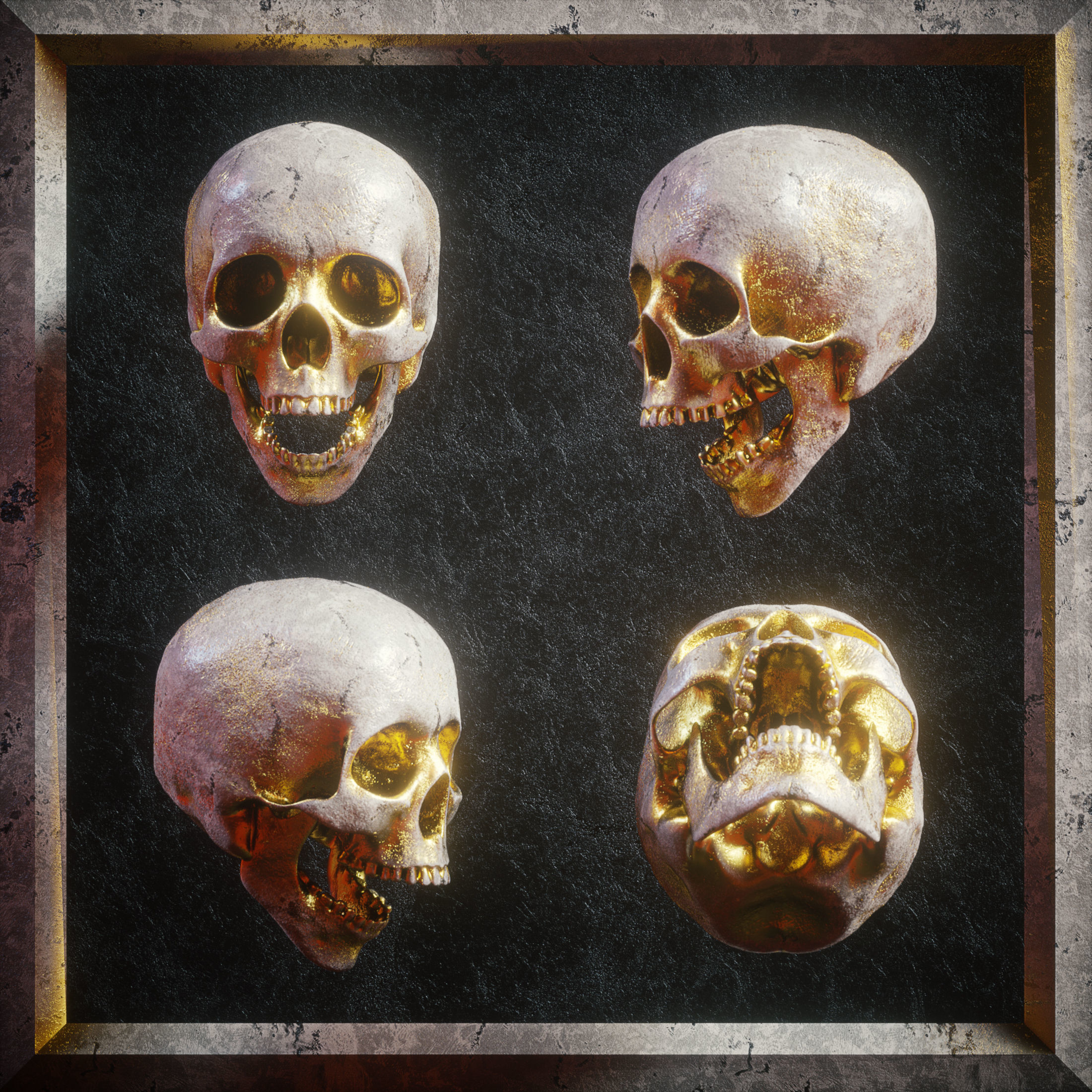Skull Model Pack 3D model_5