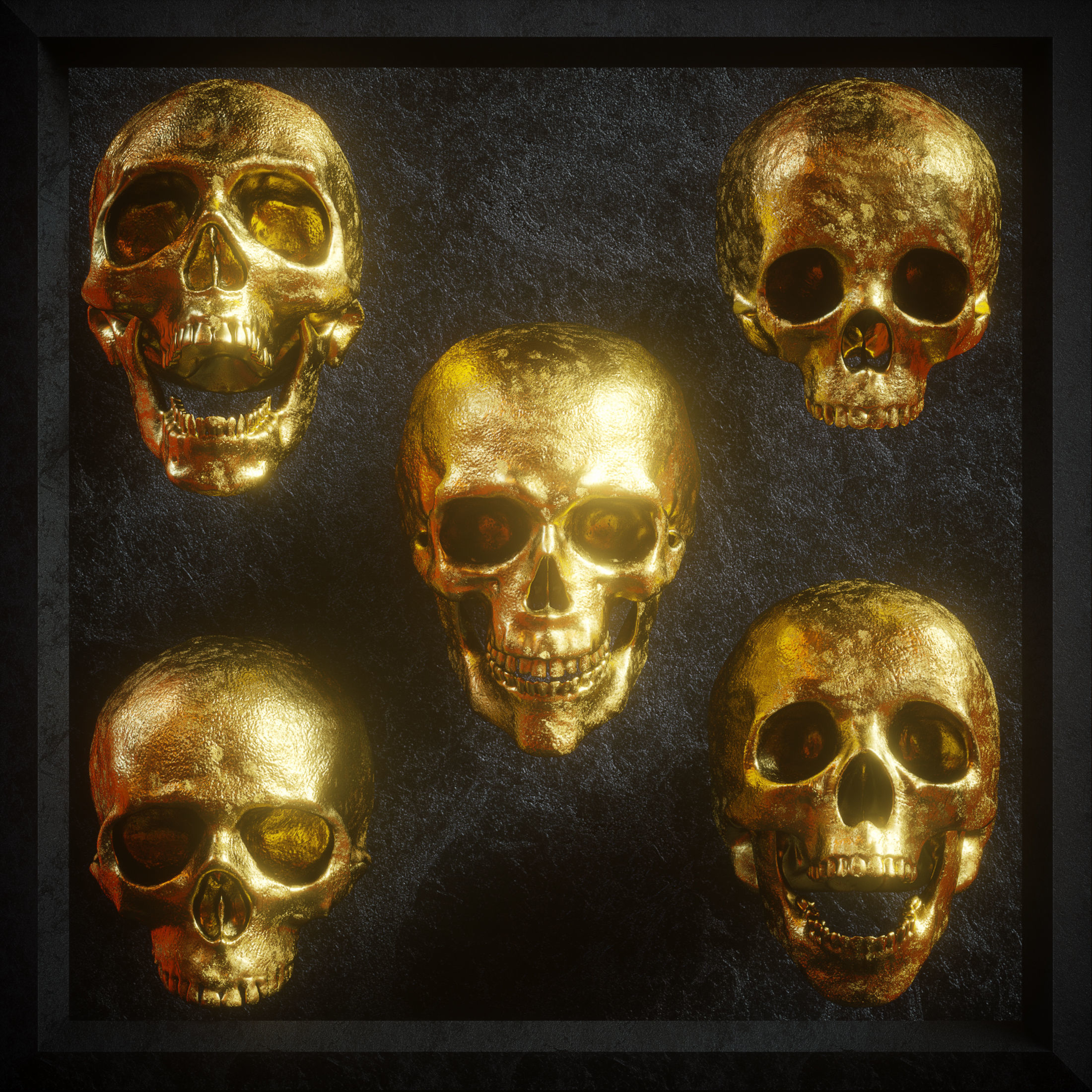Skull Model Pack 3D model_3