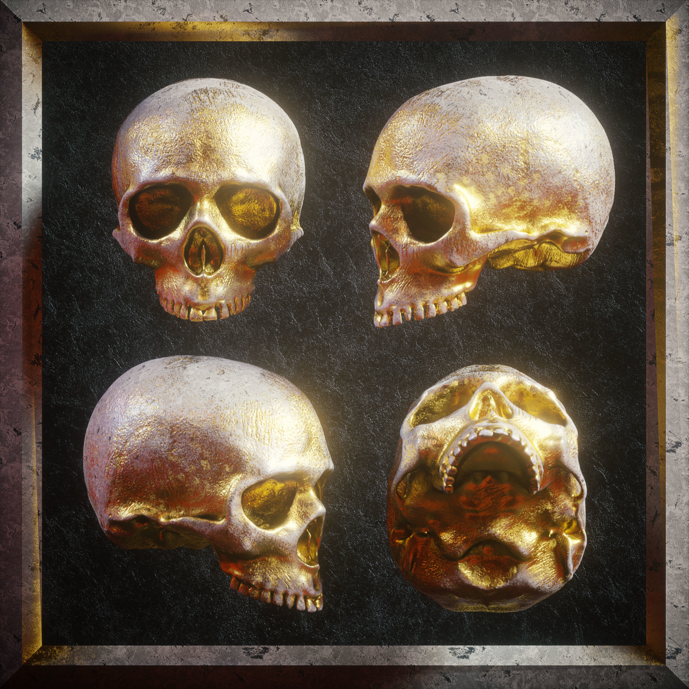 Skull Model Pack 3D model_7