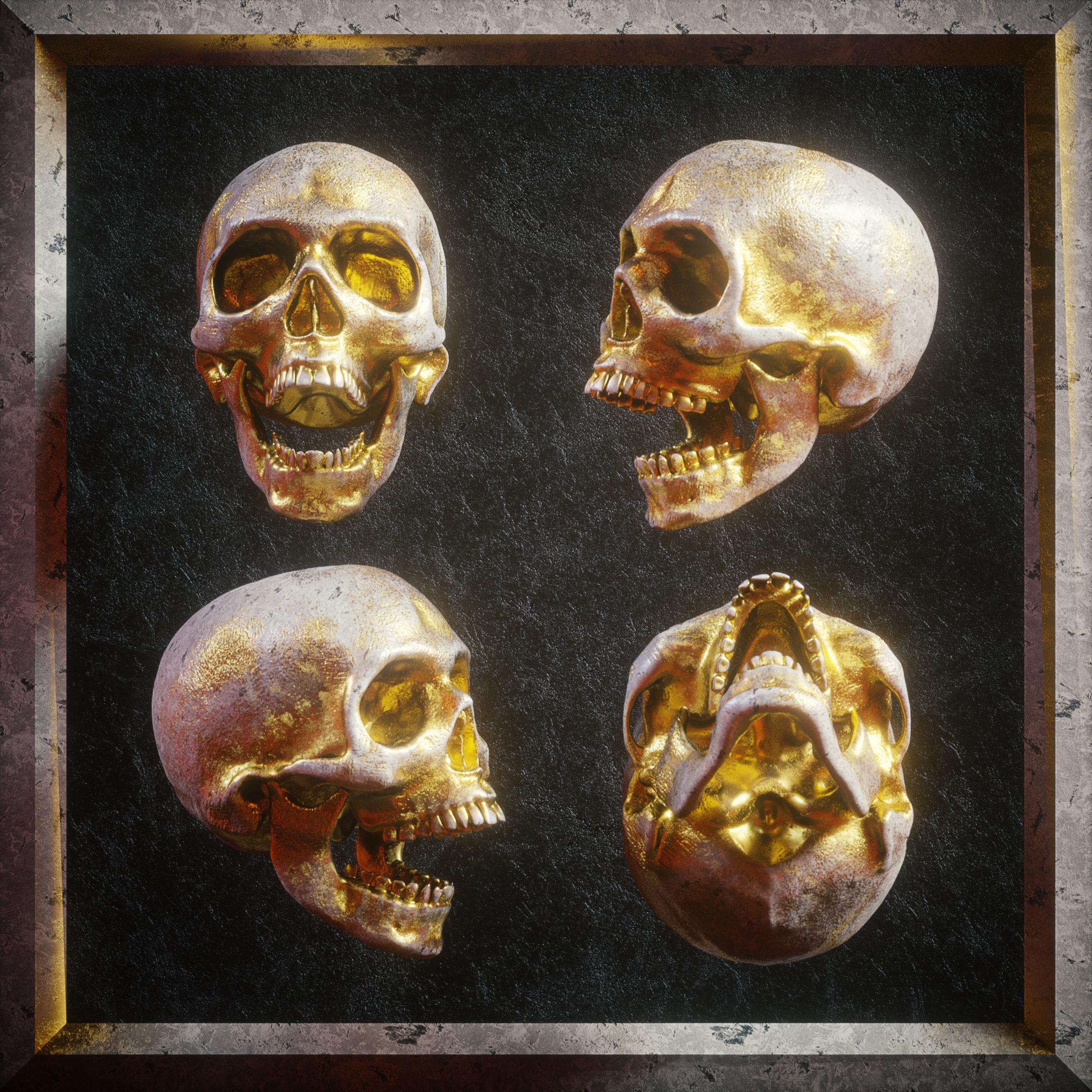 Skull Model Pack 3D model_8