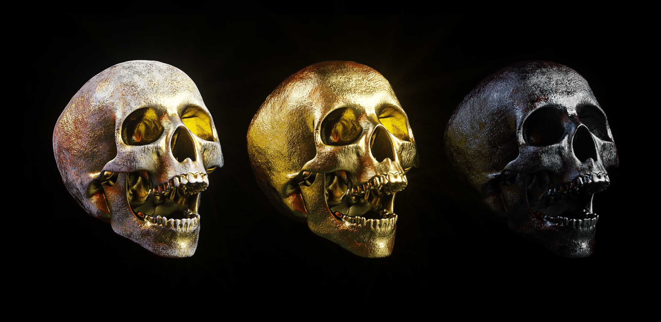 Skull Model Pack 3D model_11