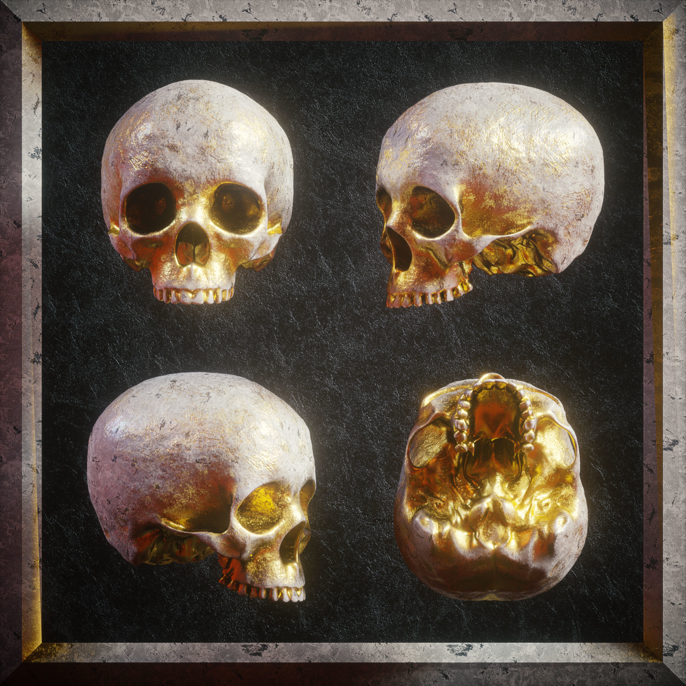 Skull Model Pack 3D model_6