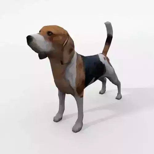 Beagle Dog Low-poly 3D model