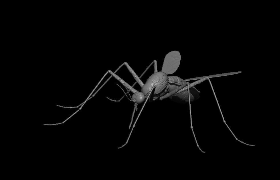 Mosquito 3D Model 3D print model_1