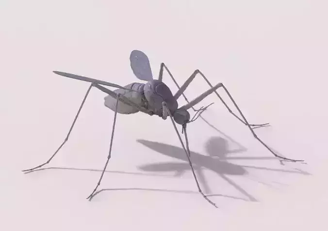 Mosquito 3D Model 3D print model