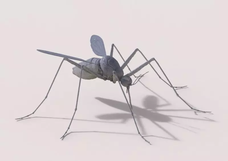 Mosquito 3D Model 3D print model_0