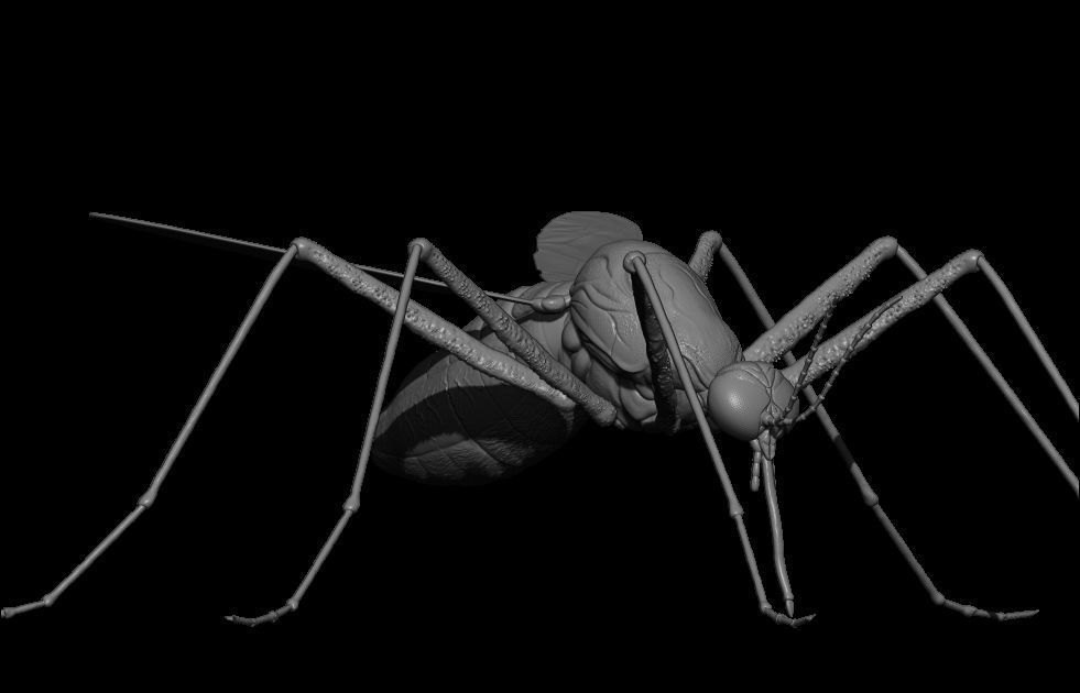 Mosquito 3D Model 3D print model_5