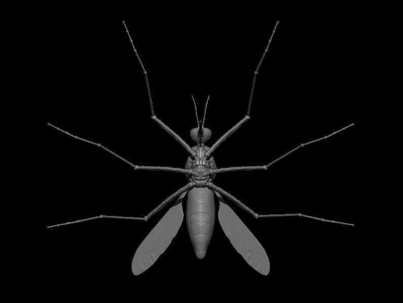 Mosquito 3D Model 3D print model_2