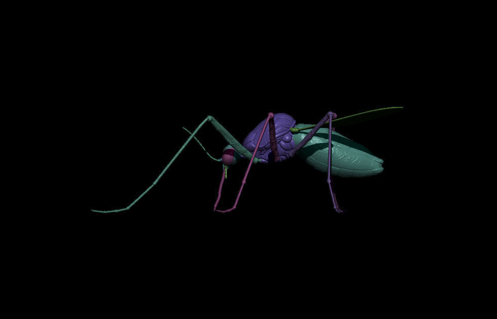 Mosquito 3D Model 3D print model_3