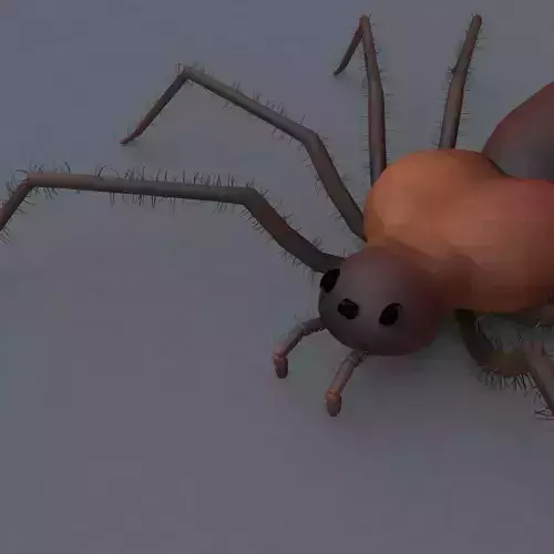 Spider 3d Model