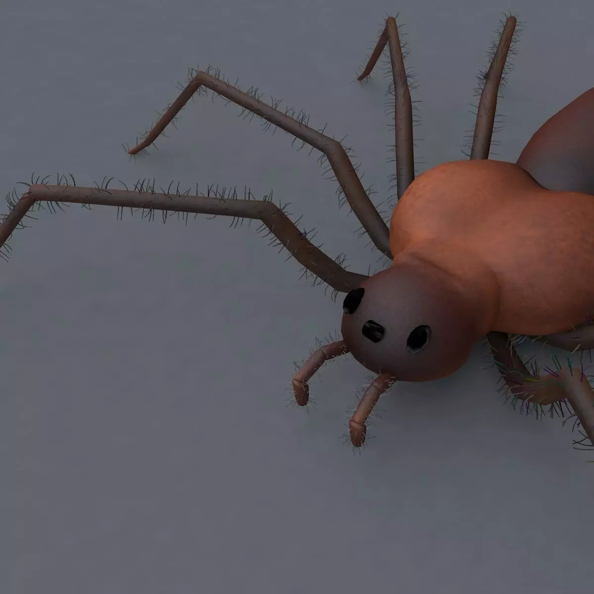 Spider 3d Model Low-poly 3D model_0