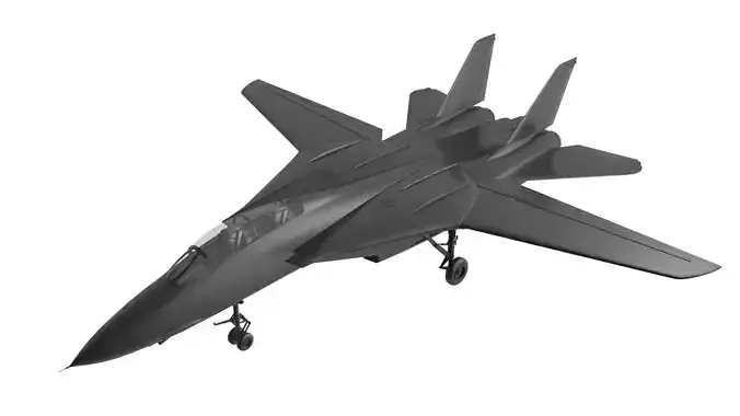 F14 tomcat Low-poly 3D model