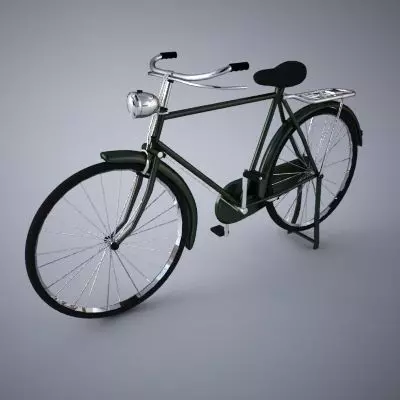 China Phoenix Bicycle Low-poly 3D model_0