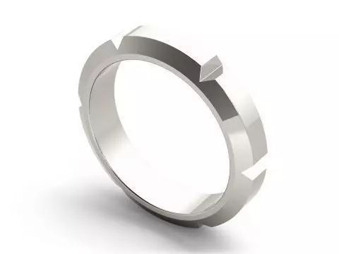 Wedding Band -5 3D print model_0