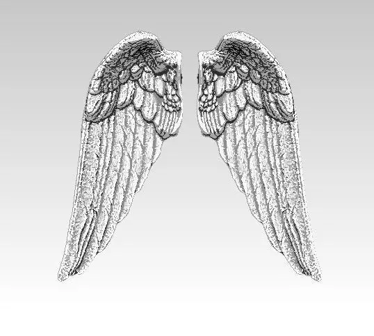 angel bird pair wings 3D print model 3D print model_0