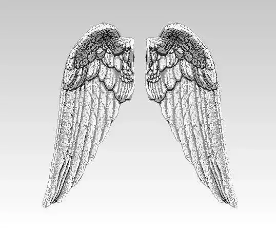 angel bird pair wings 3D print model