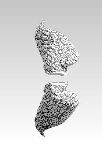 angel bird pair wings 3D print model 3D print model_1