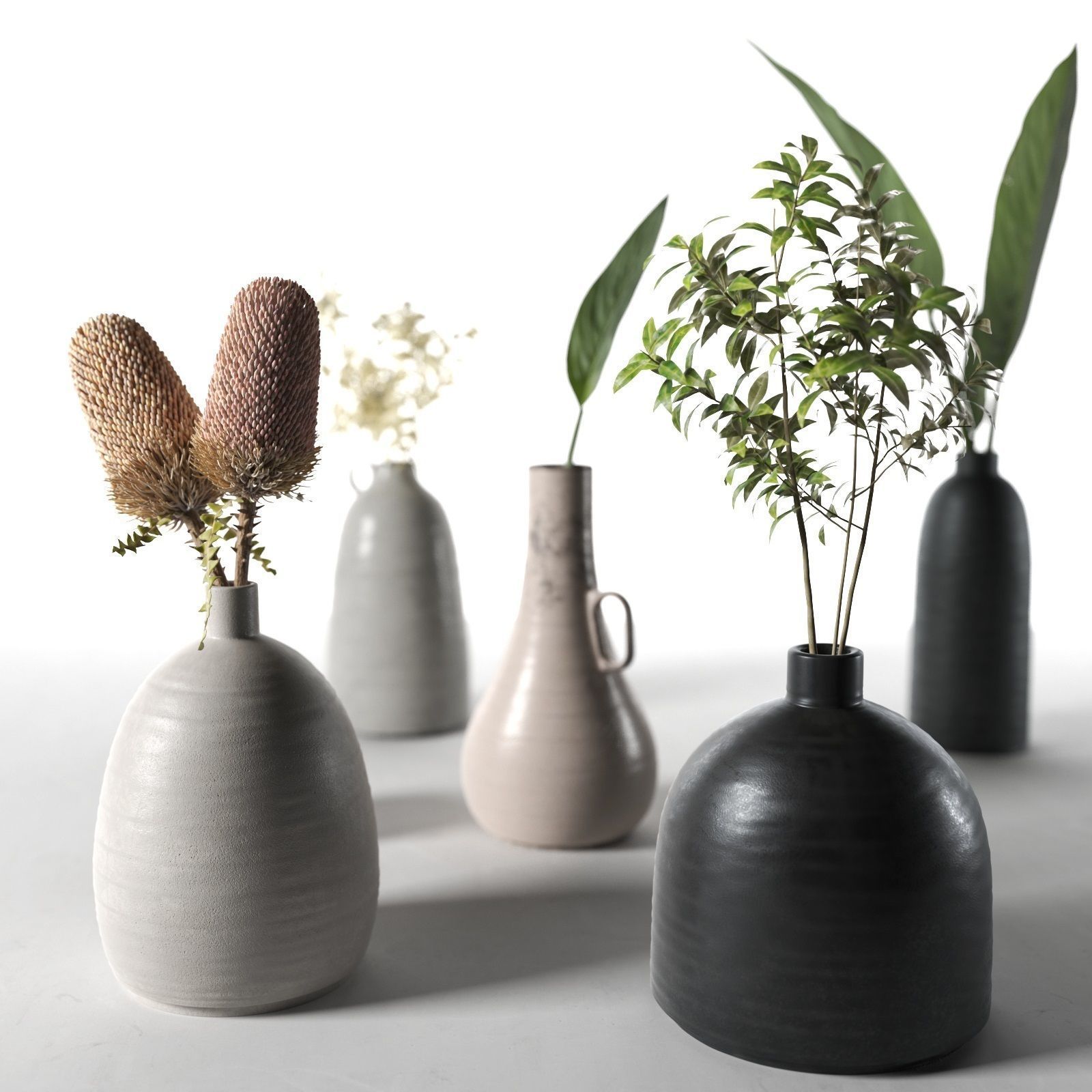 Vases with Plants  3D model_1