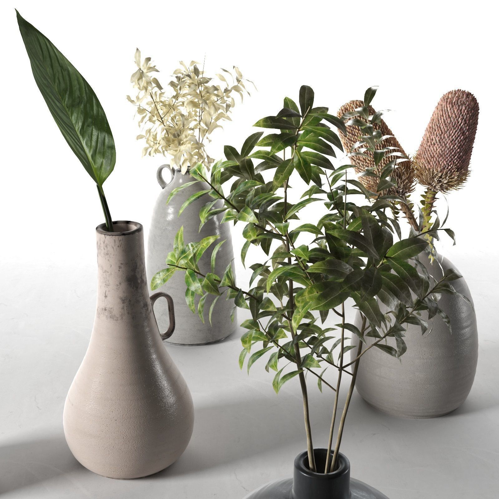 Vases with Plants  3D model_2