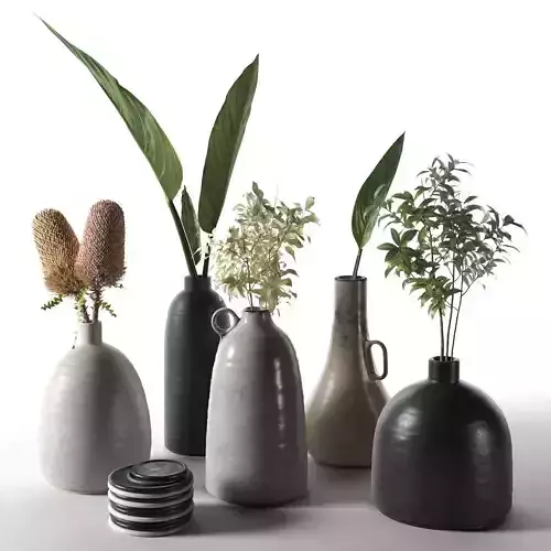 Vases with Plants 