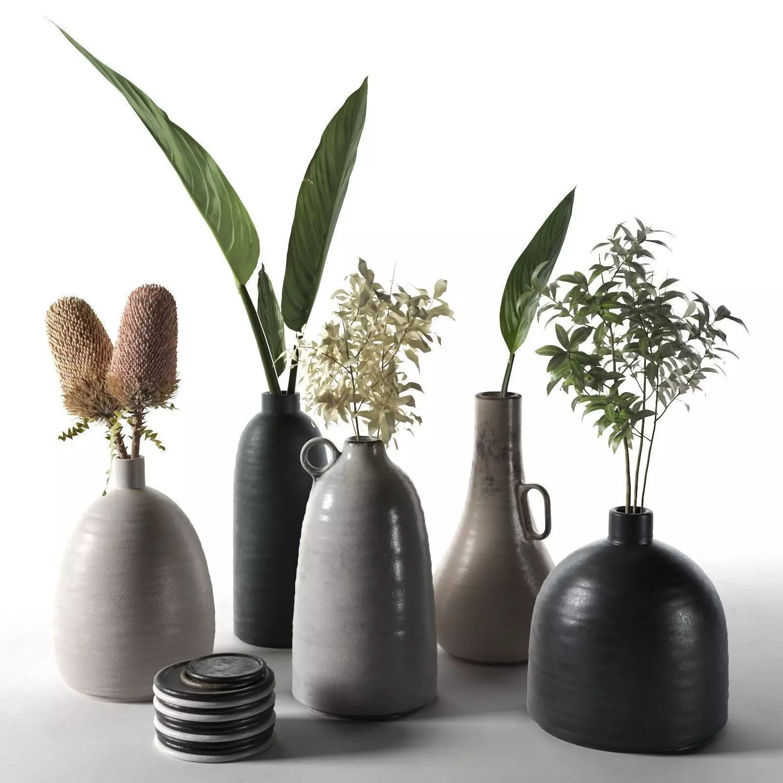 Vases with Plants  3D model_0