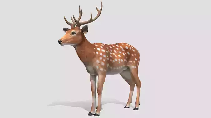 Deer - Stag Low-poly 3D model