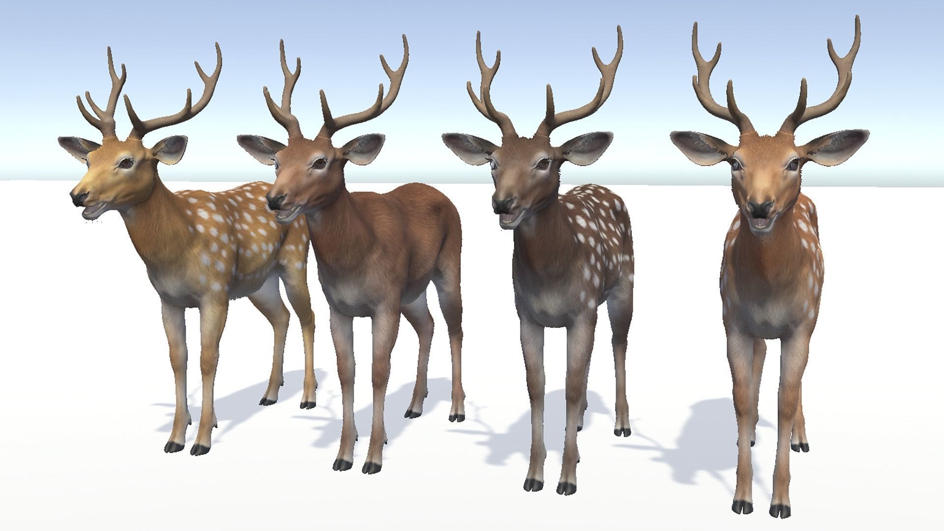 Deer - Stag Low-poly 3D model_9