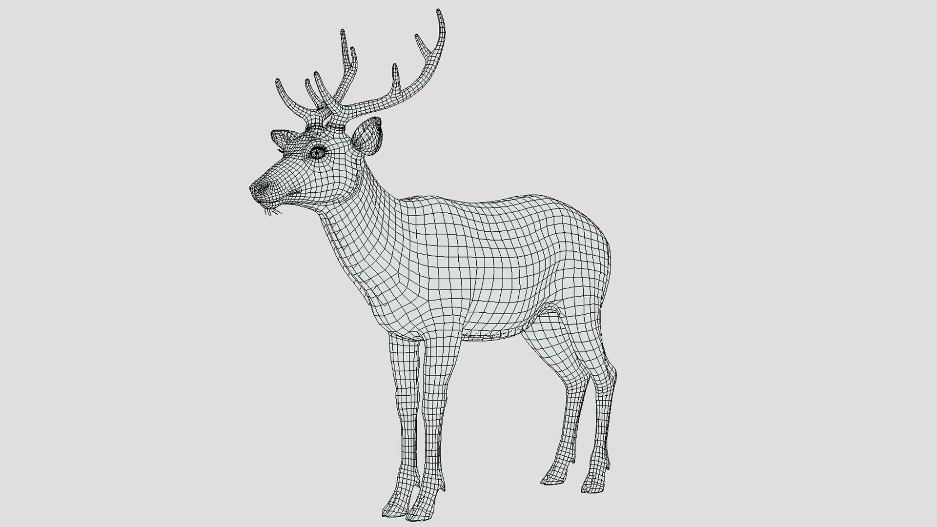 Deer - Stag Low-poly 3D model_16
